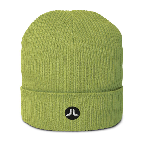 JoeLatimer.com-organic-ribbed-beanie-leaf-green-front.jpg